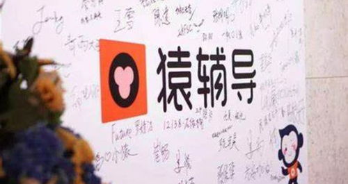 迈步智能硬件，猿辅导的“红海行动”教育咨询新篇章